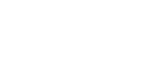 WOWNOW Logo